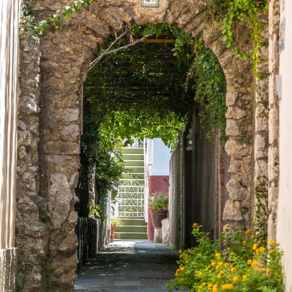 Poszter 40x40cm Capri 2, Assaf Frank