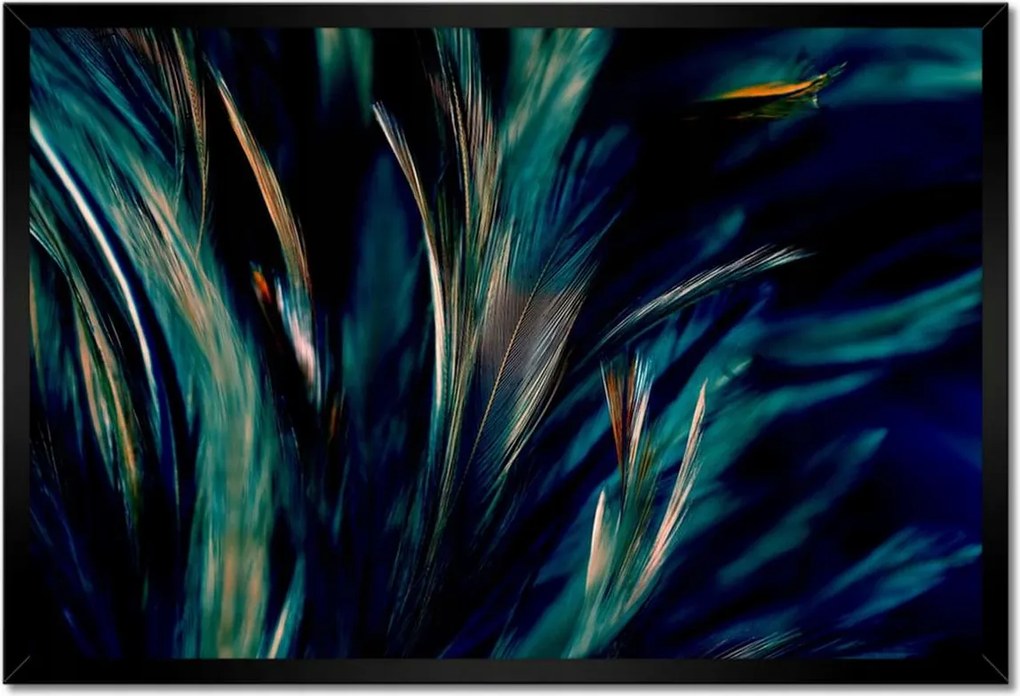 Poszter keretben 60x40 Puha pávatollak