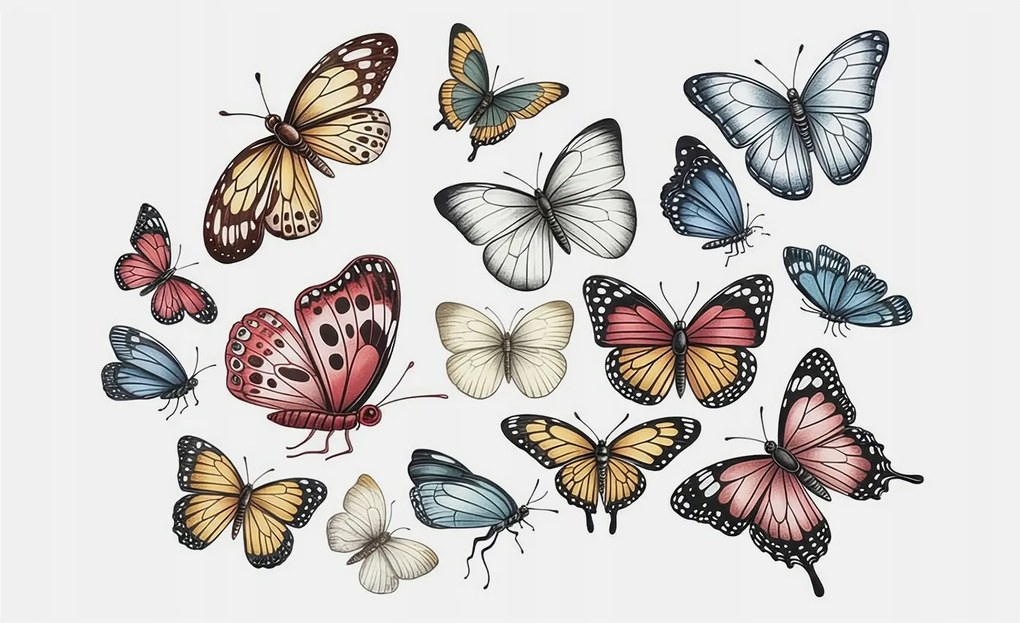 Fotótapéta Fali ragasztó szett Paradicsom pillangók 416x254 Ragasztó