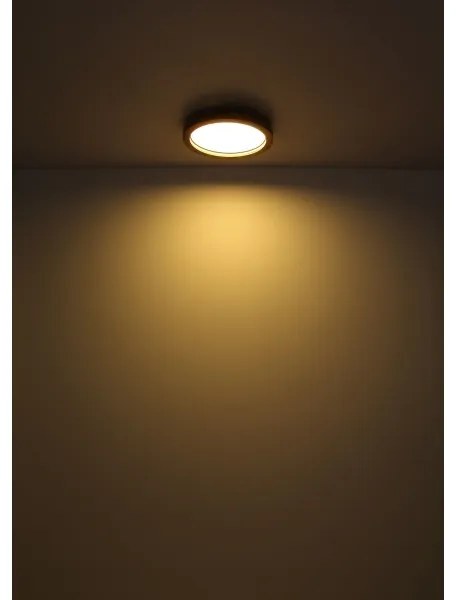 Globo 41374-24 - BRANZA LED RGBW 24W mennyezeti lámpa, dimmelhető, DO