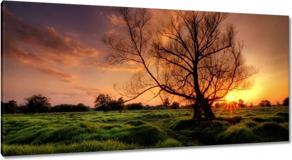 Festmények 115x55 Egy este a croissant-ban