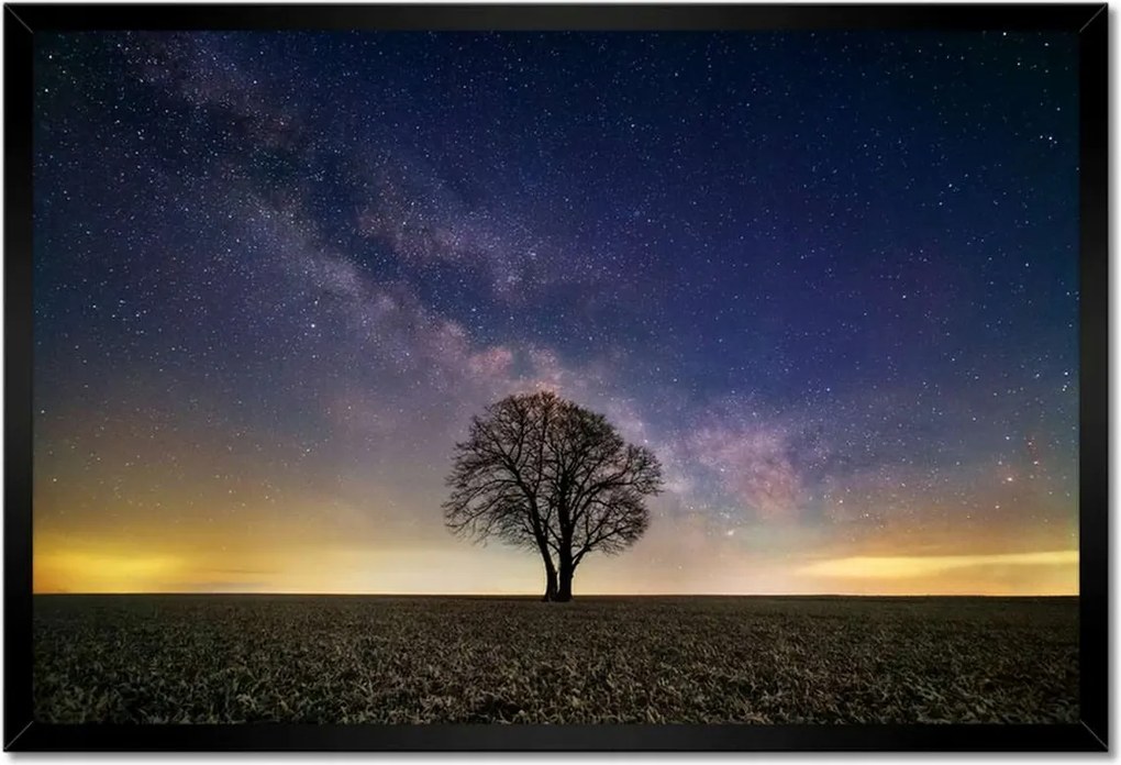 Poszterek keretben 60x40 Magányos fa és csillagok