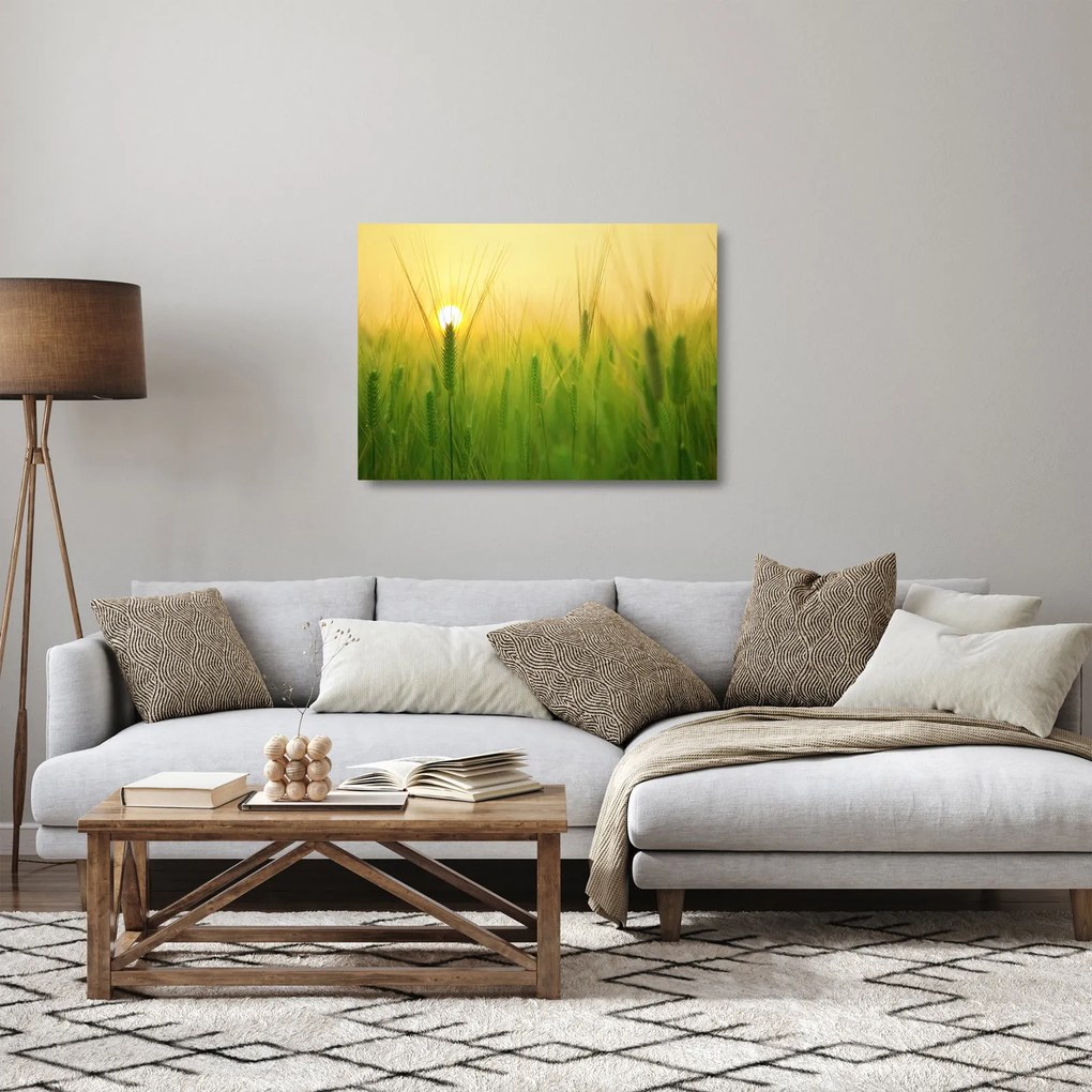 Kép - Mező gabonával (üvegen) (70x50 cm)
