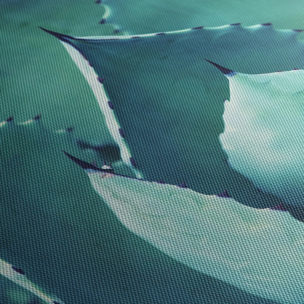 Kép - Szukulent (120x50 cm)