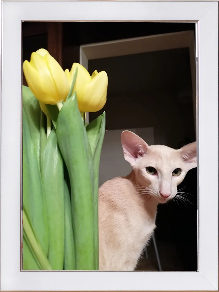 Fotókeret felállítható és felakasztható 15x23 Titán fehér 2 cm