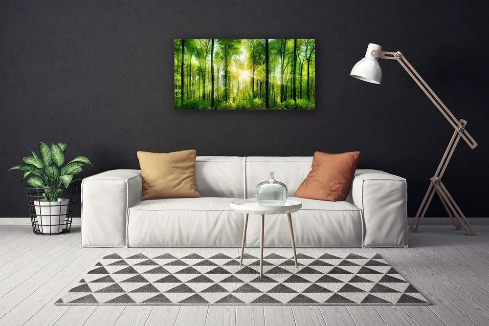 Vászonkép Természet Erdei fák 100x50 cm