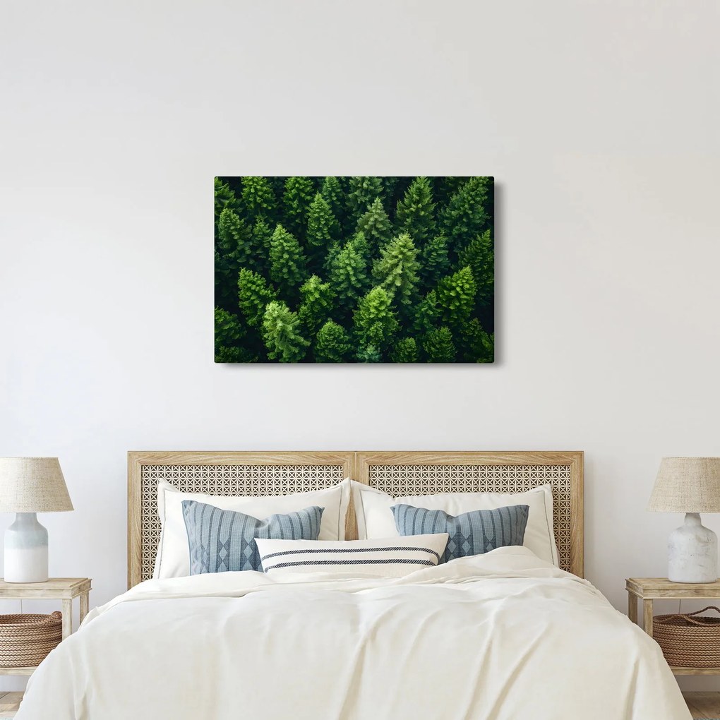 Kép - Forest (90x60 cm)