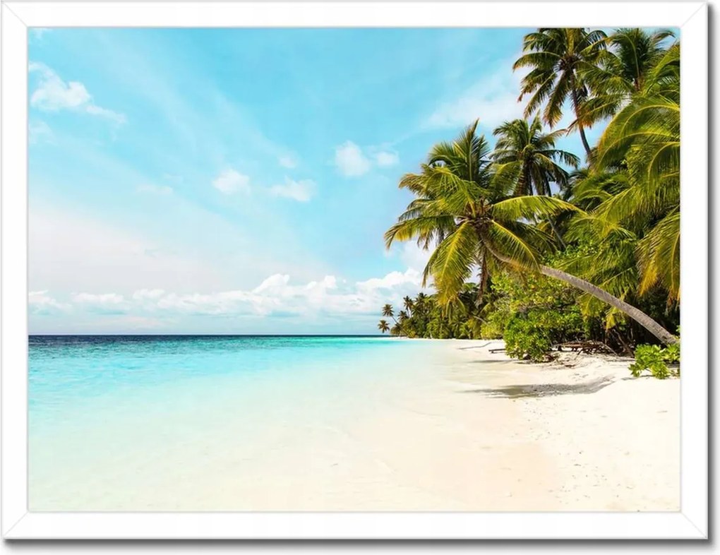 Poszterek keretben 40x30 Trópusok Tájkép Pálmafák