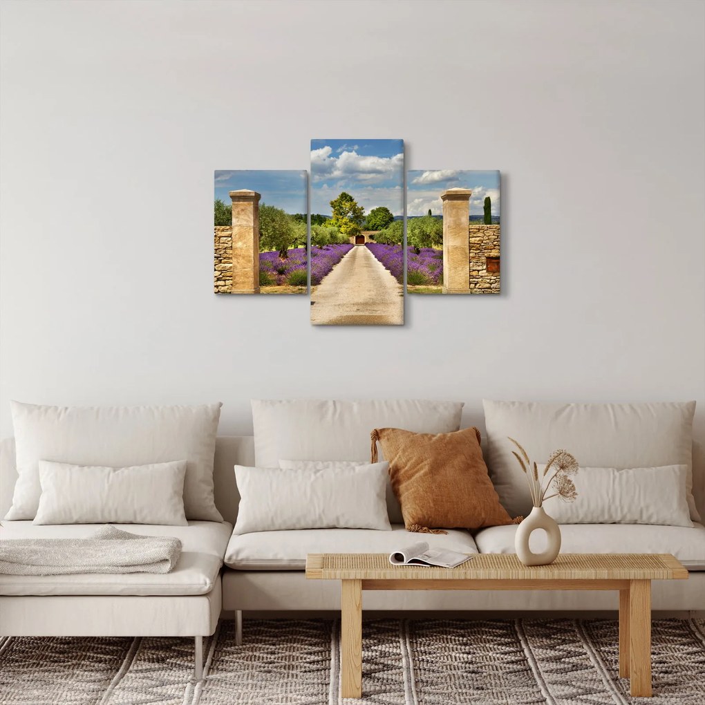 Kép - Levendula ösvények (90x60 cm)