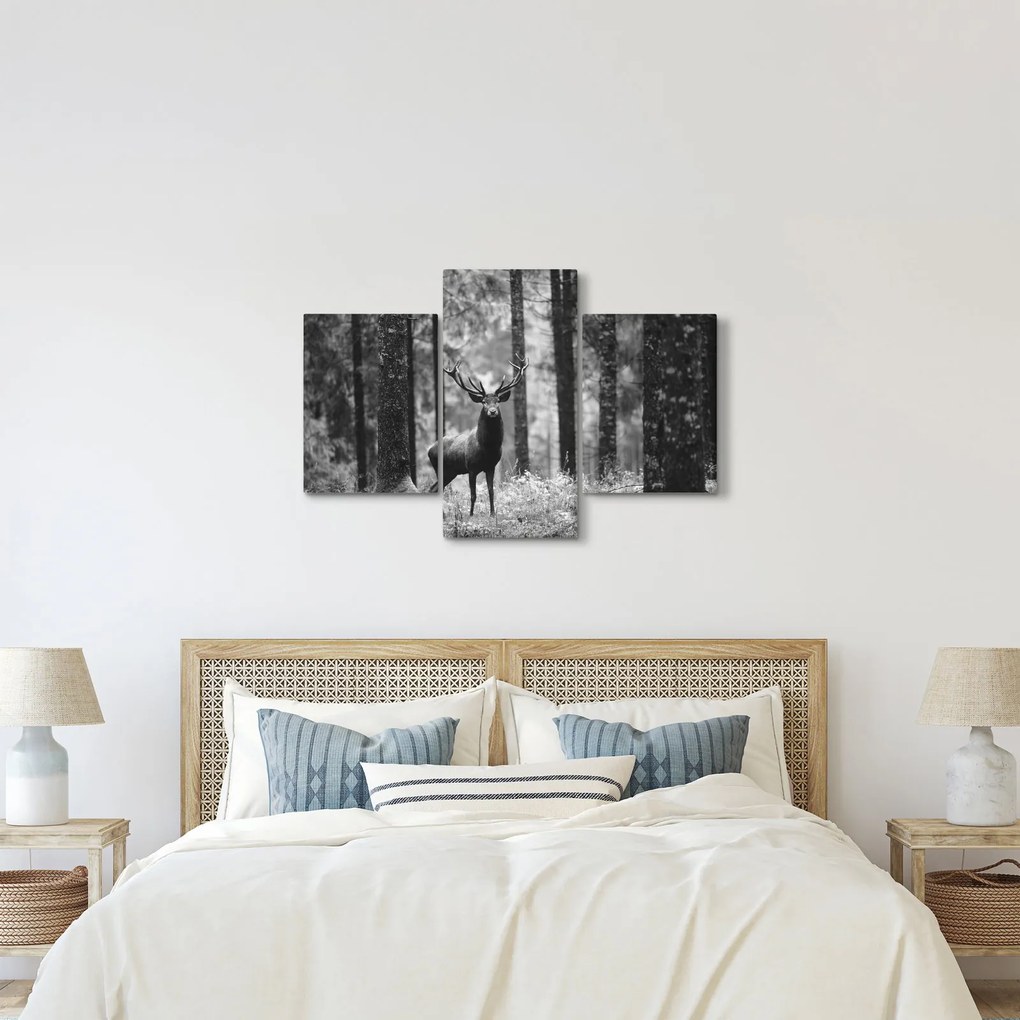 Kép - Szarvas az erdőben 2, fekete-fehér (90x60 cm)