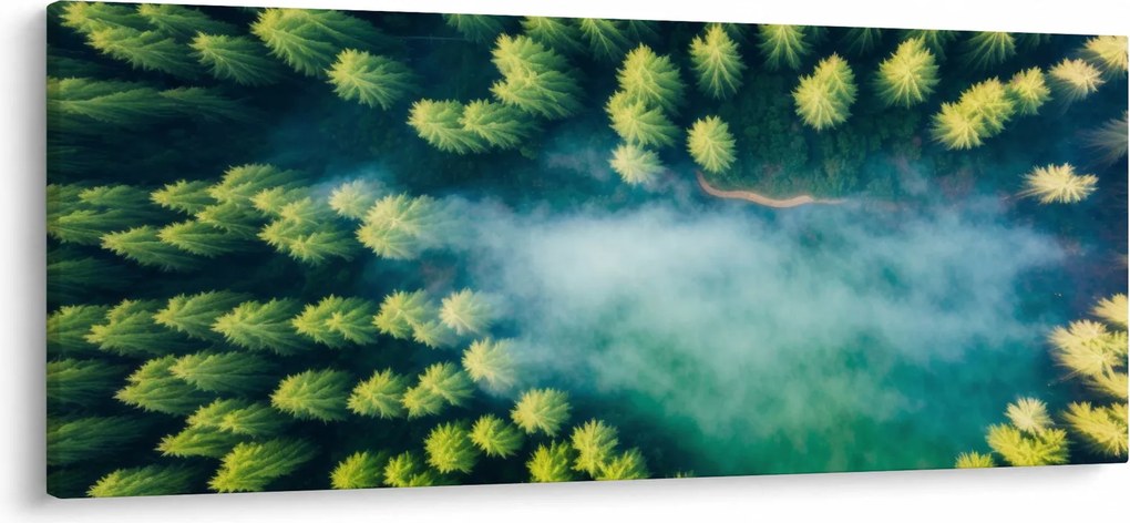 Kép - Egy ködbe burkolt erdő (120x50 cm)
