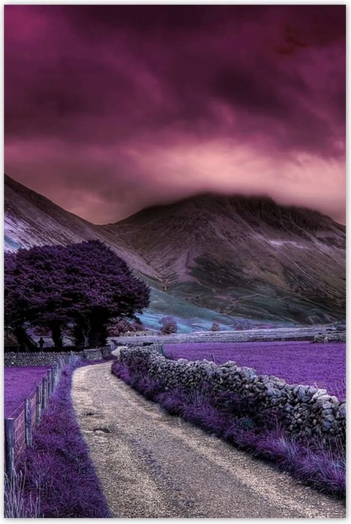 Poszterek 80x120 Lila tájkép