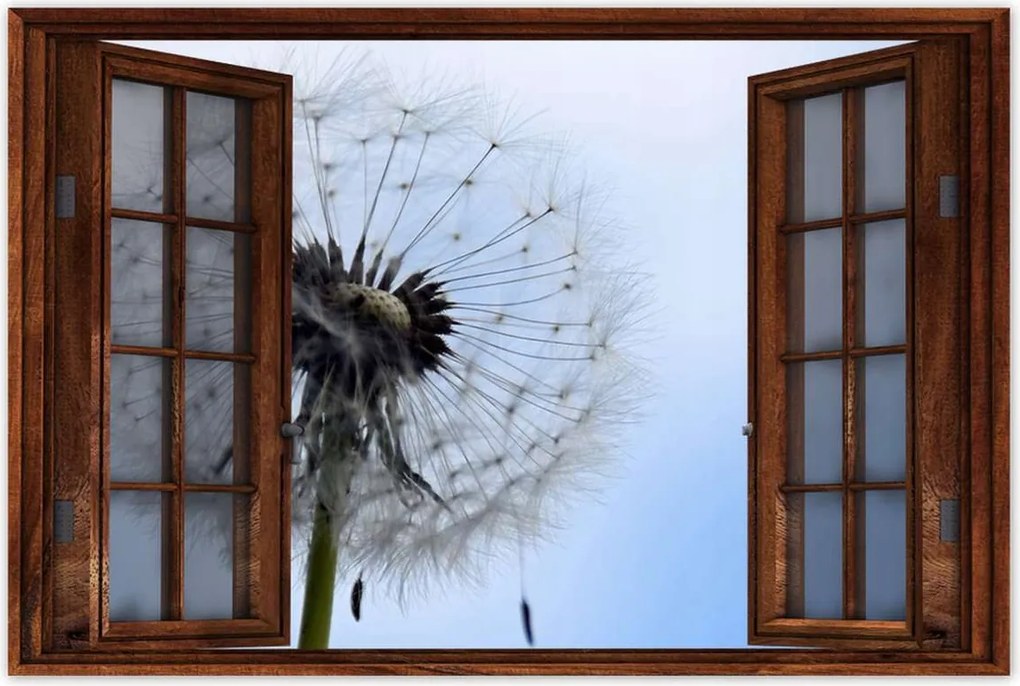 Poszterek 90x60 Hétköznapi pitypang