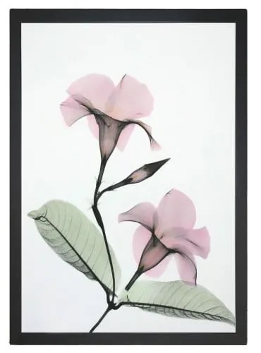 Kép 24x29 cm Green Branch – Vavien Artwork