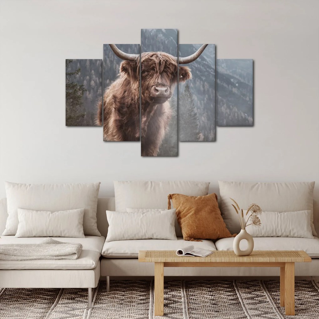 Kép - Highlander tehén (150x105 cm)