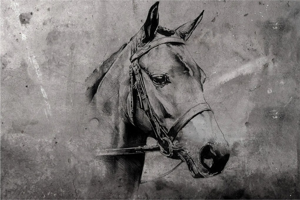 Kép - Egy ló portréja (90x60 cm)