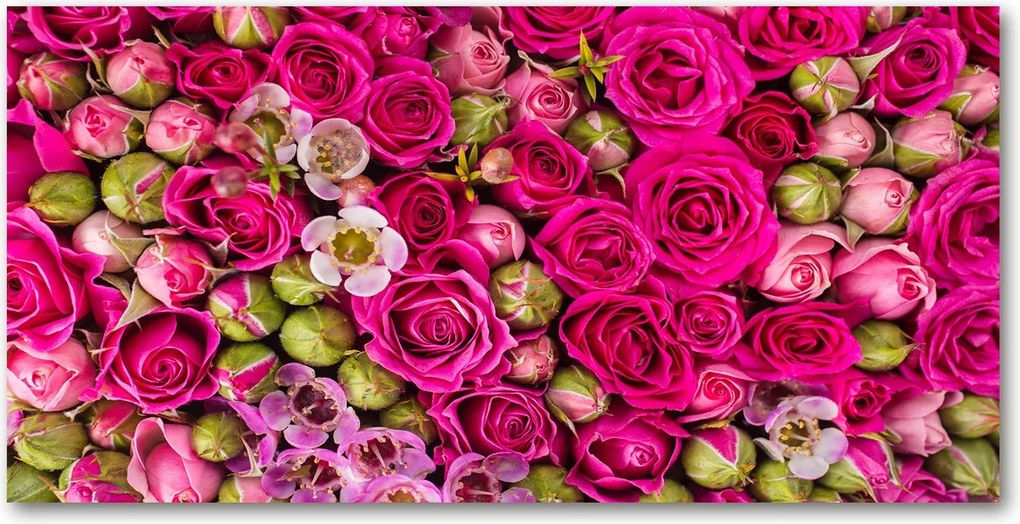 Fotó vászonkép edzett üveg Rózsa 140x70