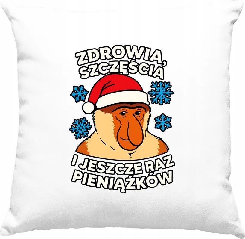 Karácsonyi Kívánságpárna Pénz Fehér