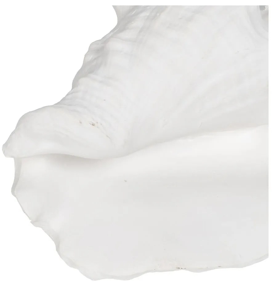Poligyanta szobor (magasság 13 cm) Seashell – Ixia