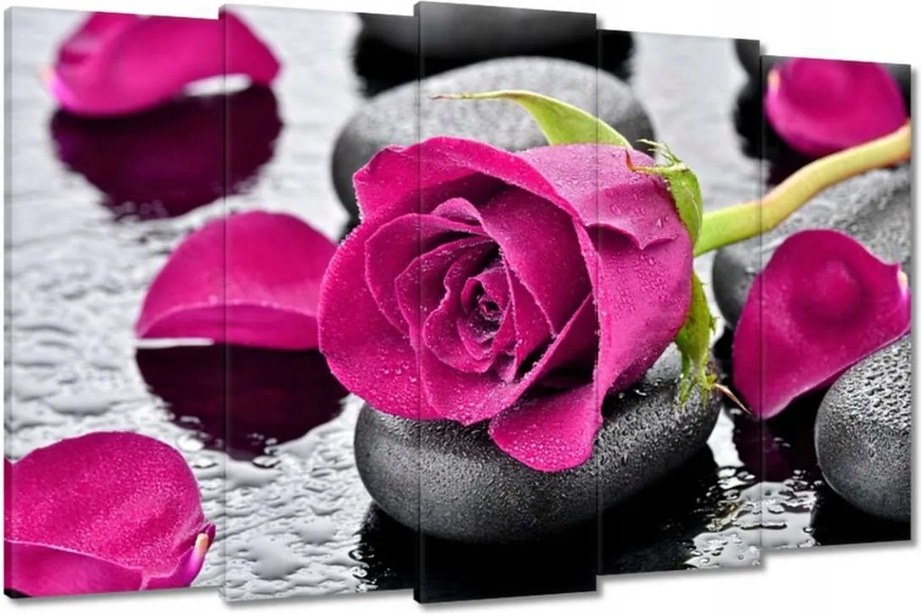 Vászonkép 150x95 Rózsaszín rózsa köveken