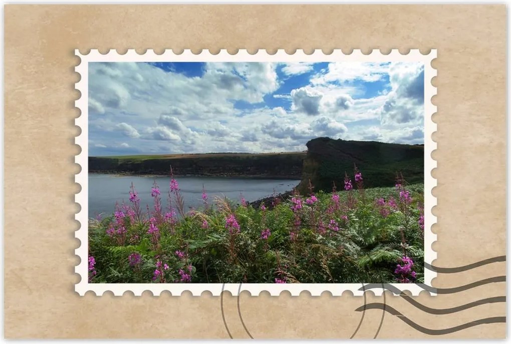 Poszterek 120x80 Lila virágok