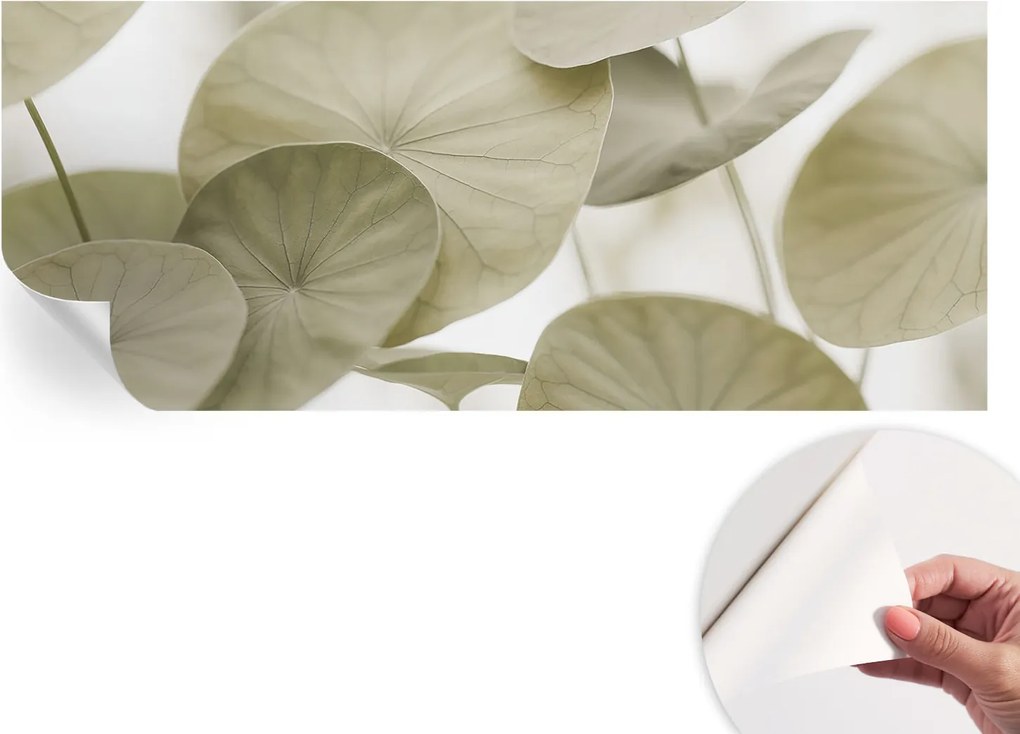 Öntapadós fotótapéta Falra 3D Loft Természetes elegancia 250x104 cm