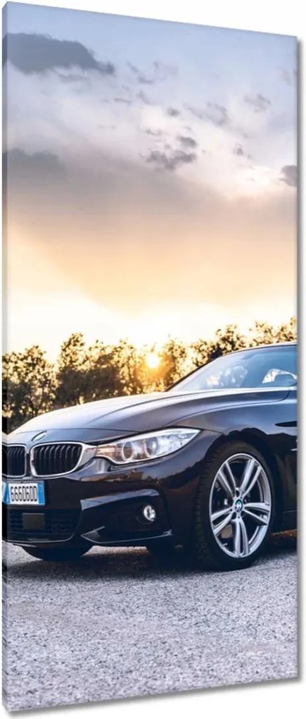 Vászonkép 55x115 Fekete Bmw