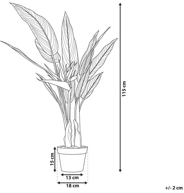 Cserepes Művirág 115 cm STRELITZIA TREE Beliani