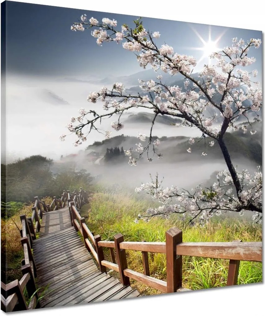 Vászonkép 50x50 Japán Virágzó cseresznye