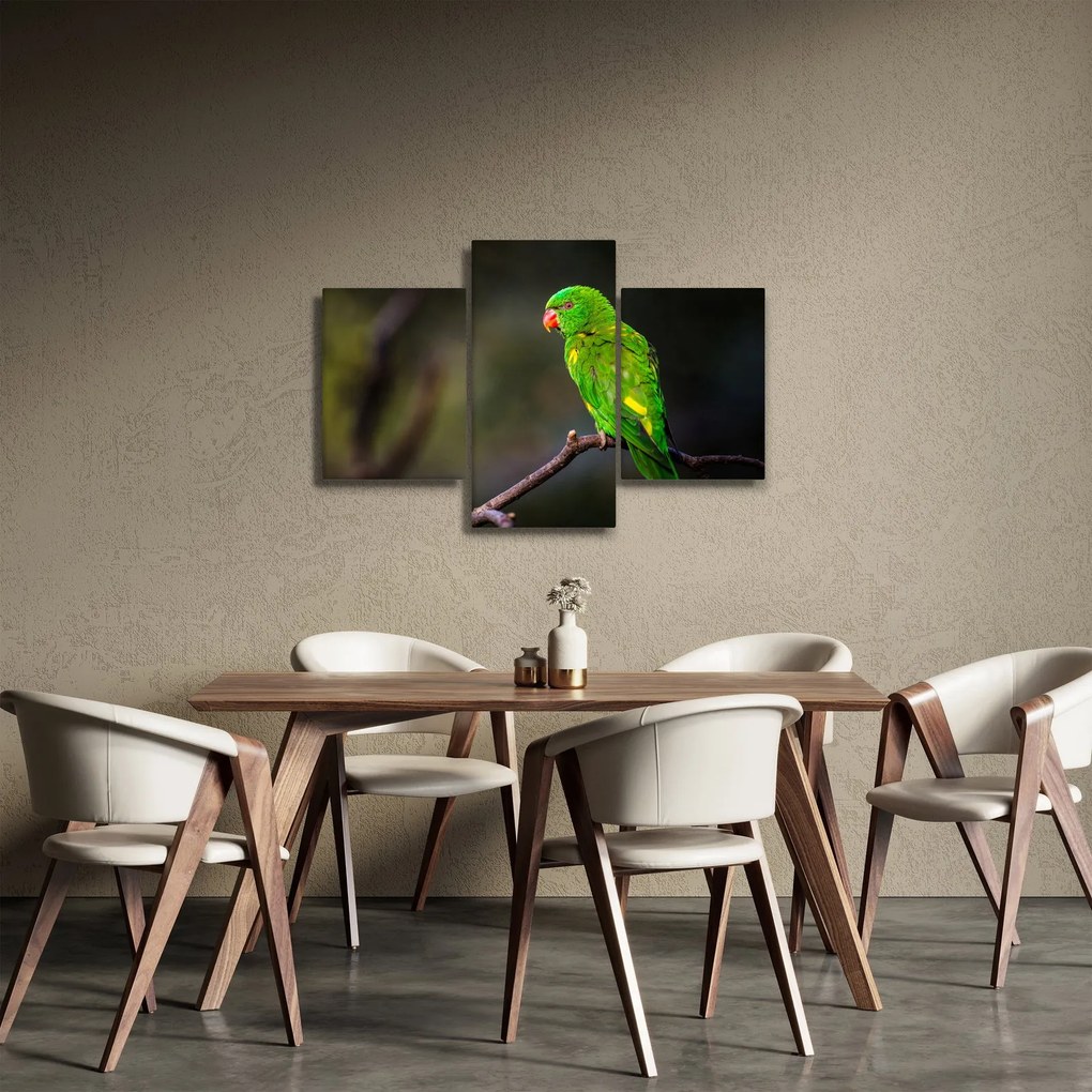 Papagáj egy ágon képe (90x60 cm)