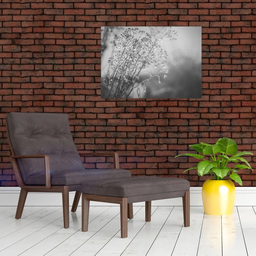 Üveg kép - Mező az eső után (70x50 cm)