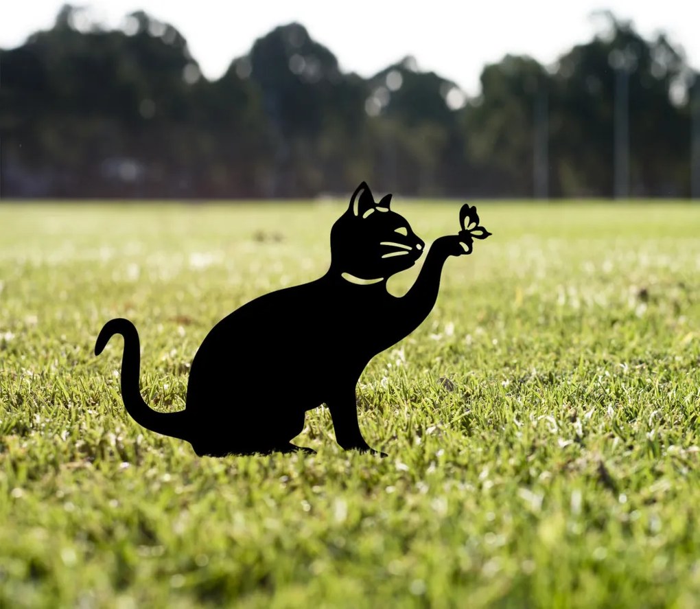 Cat 03