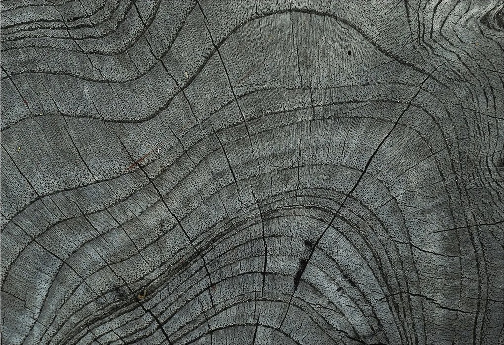 Flizelina fotótapéta Nappaliba és Hálószobába Befőttesüveg mintás 152x104 Ragasztó