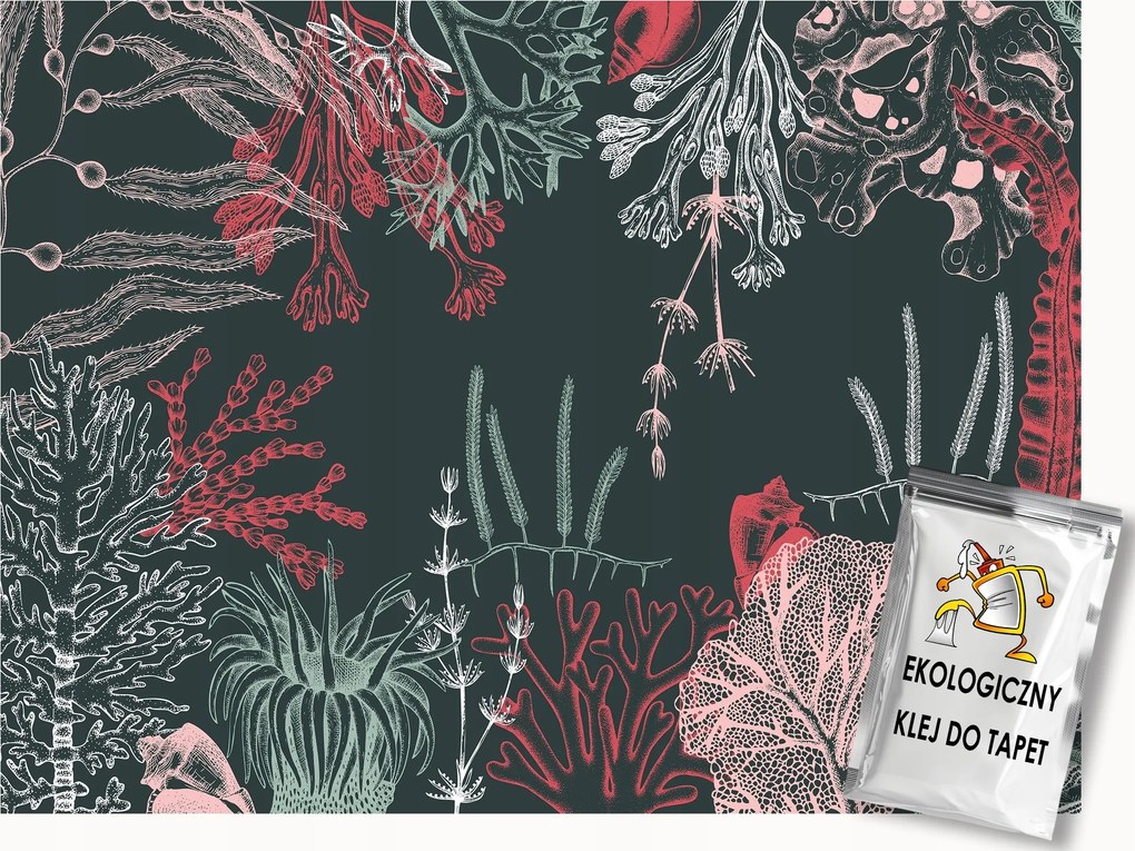 Fotótapéta Flizelina Víz Alatti Világ Óceán Zátony Korallok Alga 300x210 ragasztó