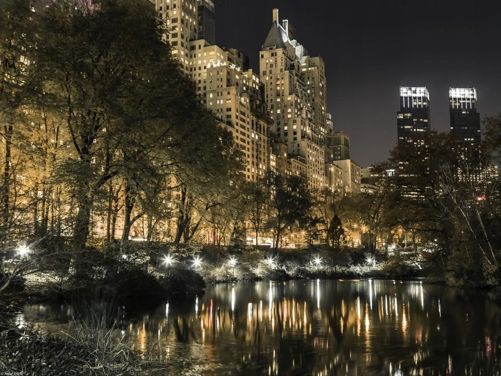 Poszter 40x30cm Esti kilátás a New York-i Central Parkra 5, Assaf Frank