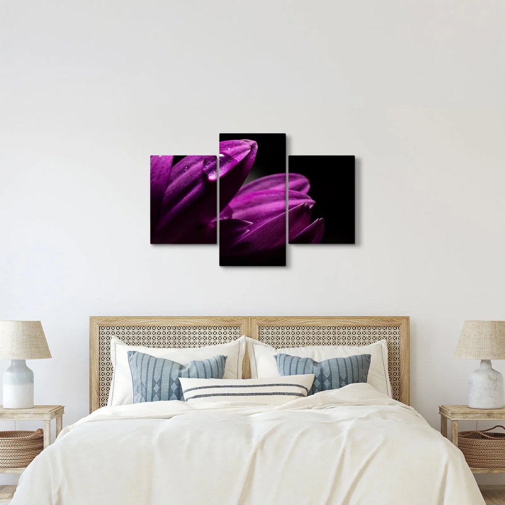 Kép - Vízcsepp (90x60 cm)