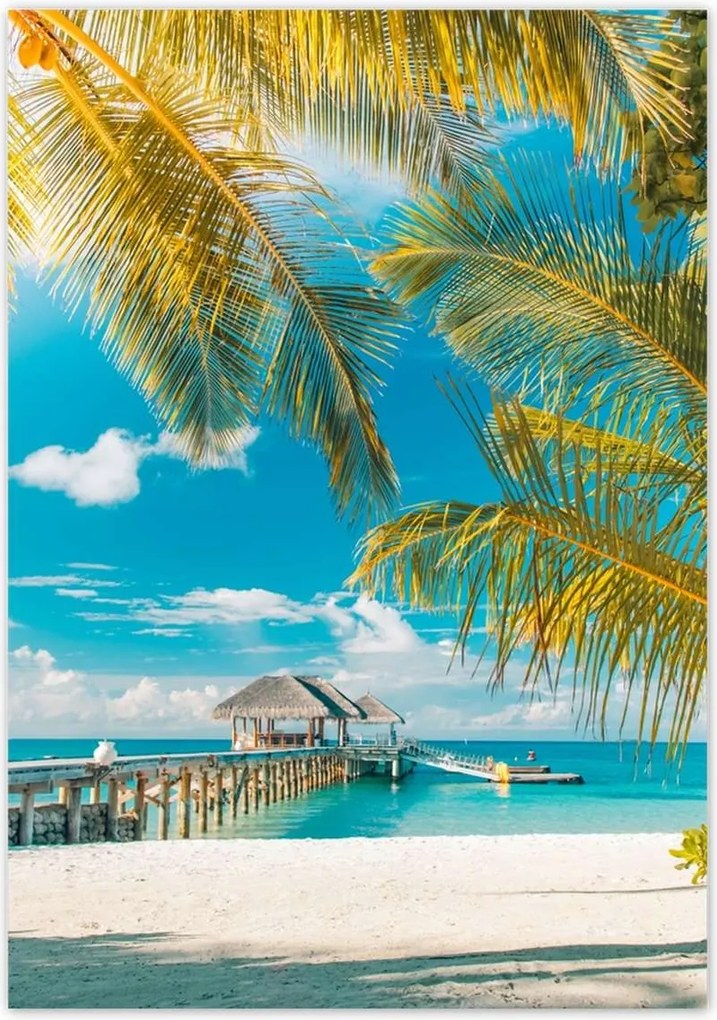 Poszterek 70x100 Trópusok Tájkép Pálma