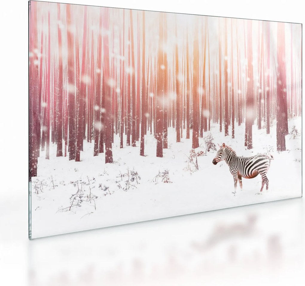 Kép - Zebra egy havas erdőben (üvegen) (70x50 cm)