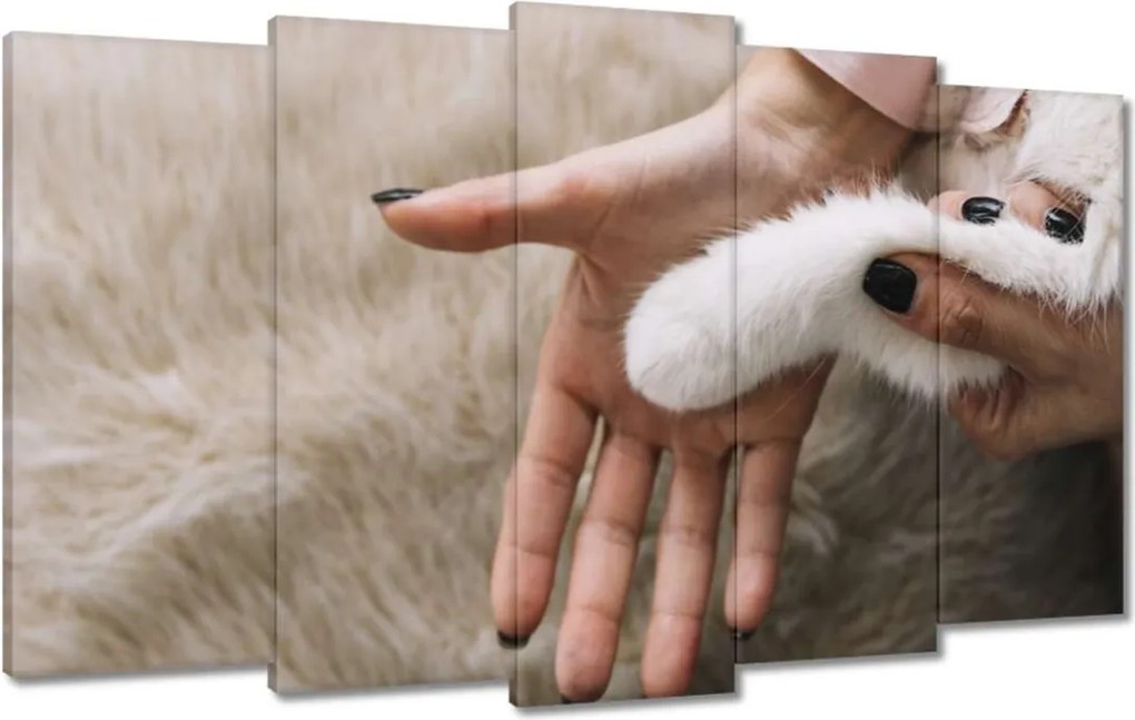 Vászonkép 100x60 Cica Cicák