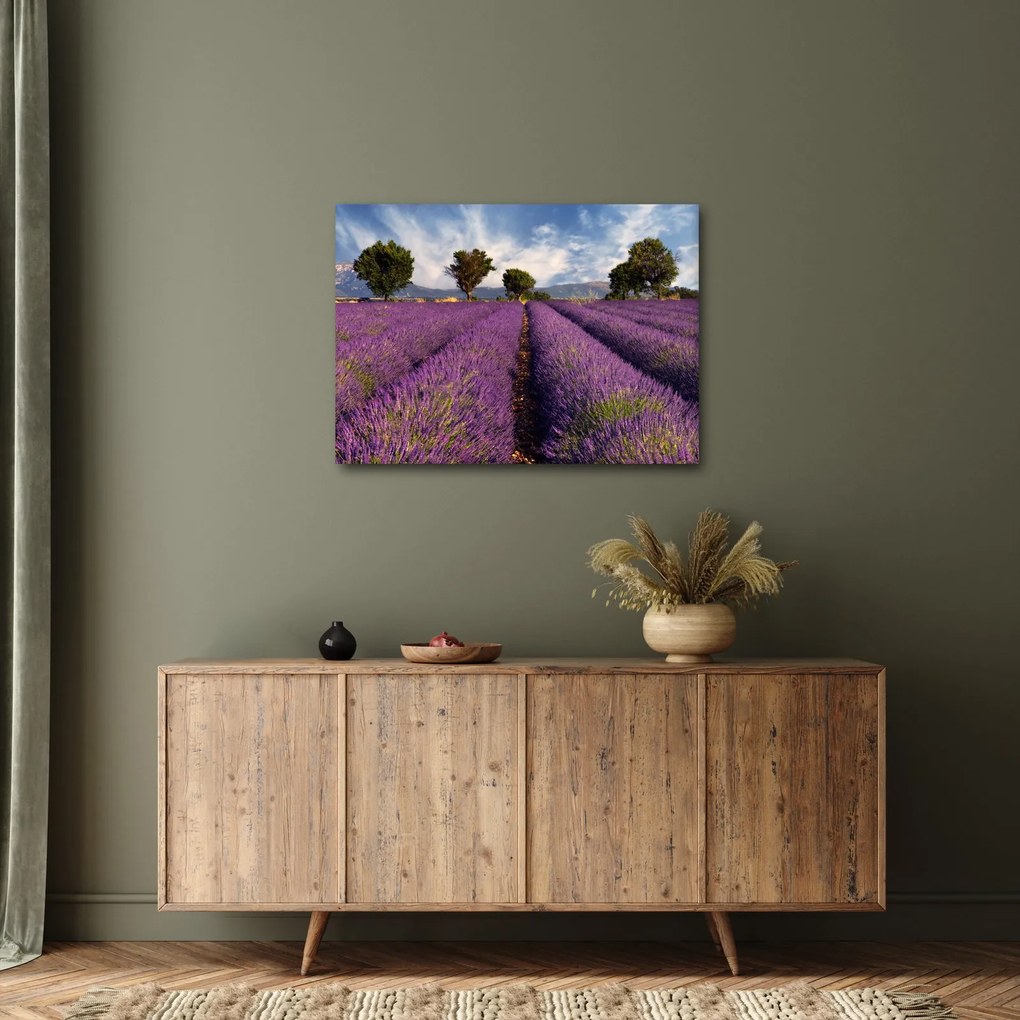 Kép - Levendula mező és hegyek (70x50 cm)