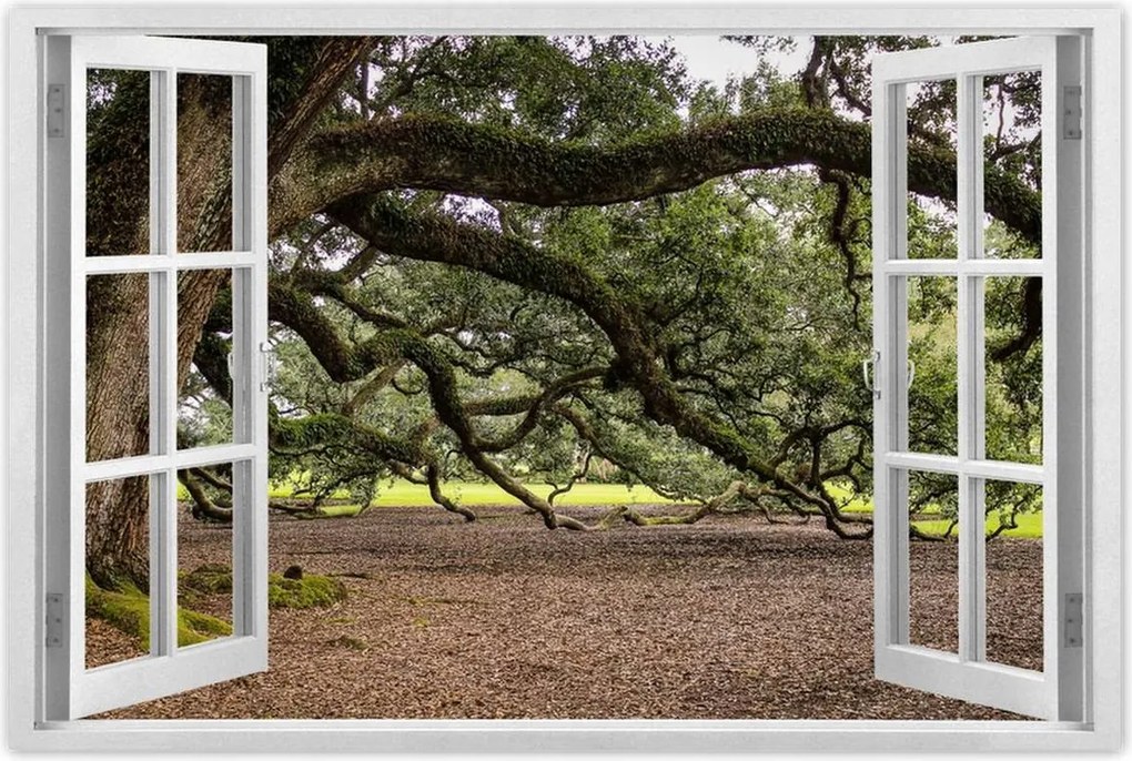 Poszterek 90x60 Szétnyitható tölgy