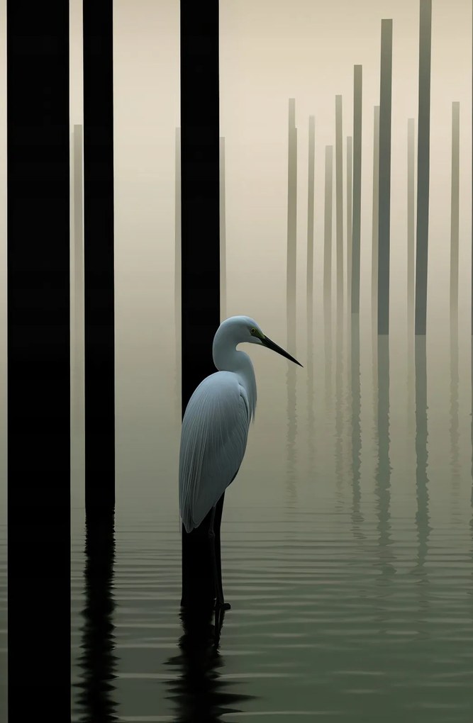 Poszter 53x81cm Köd a vízen