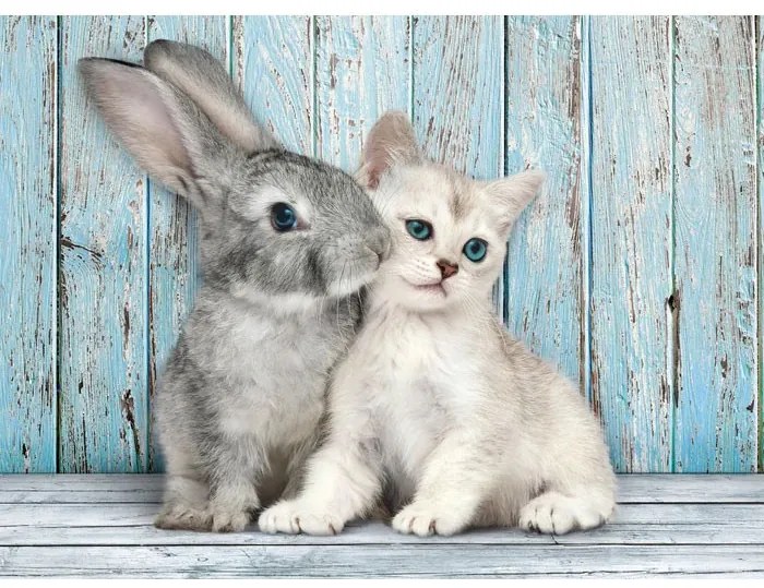 Állatos Cat &amp; Bunny 500 db-os puzzle Compact Clementoni