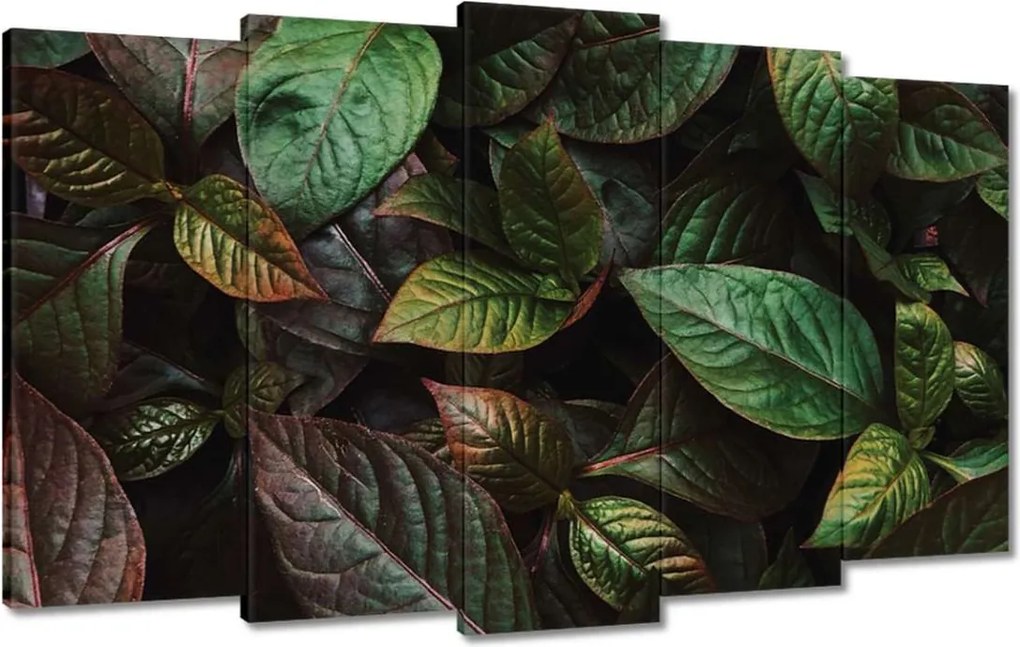 Vászonkép 100x60 Trópusi levelek Levelek