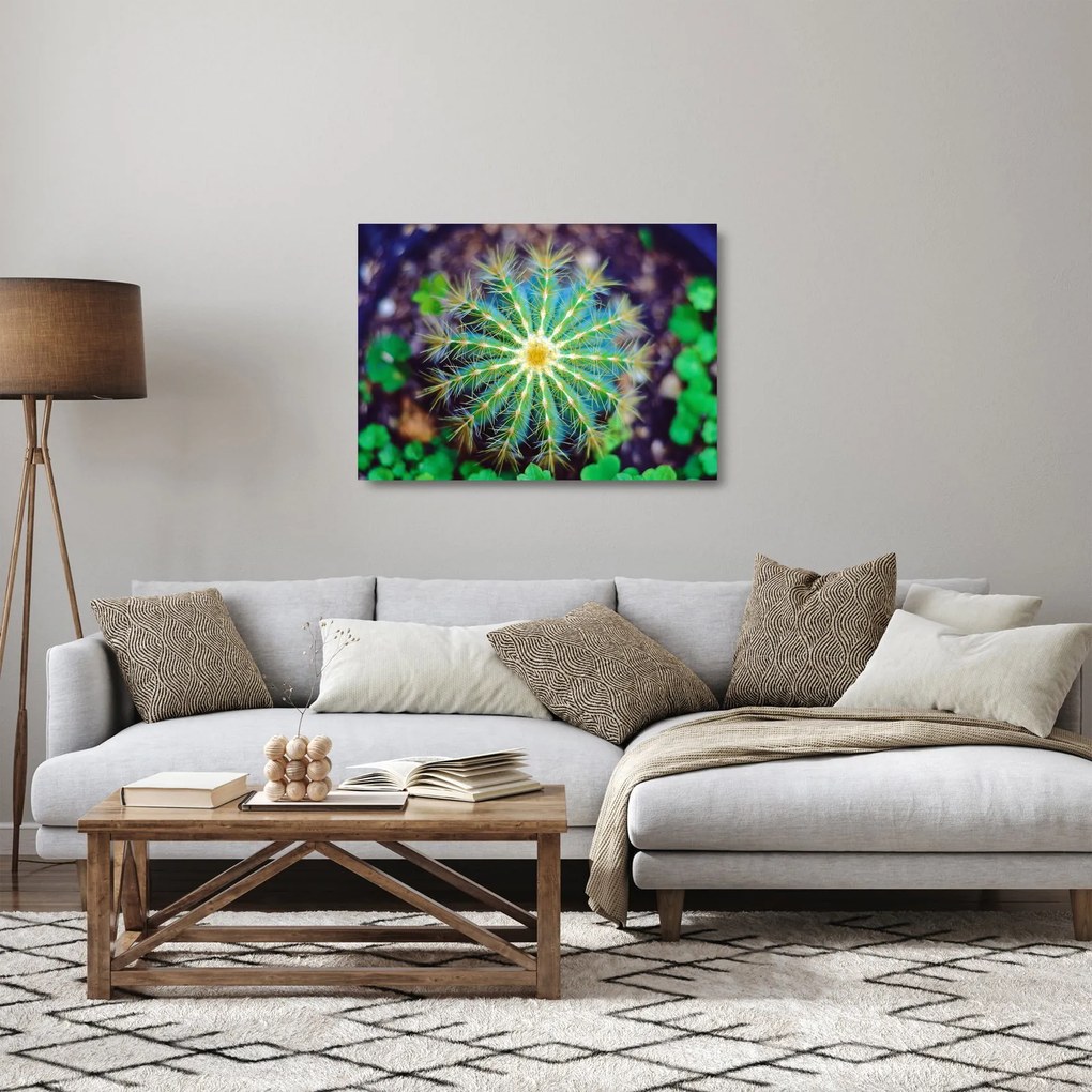 Kaktusz kép (üvegen) (70x50 cm)