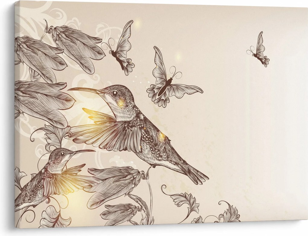 Kép - Kolibri (70x50 cm)