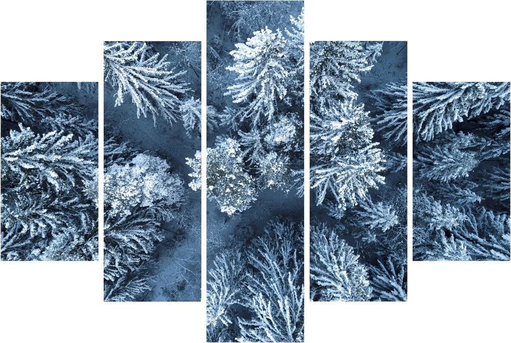 Kép - Havas erdő (150x105 cm)