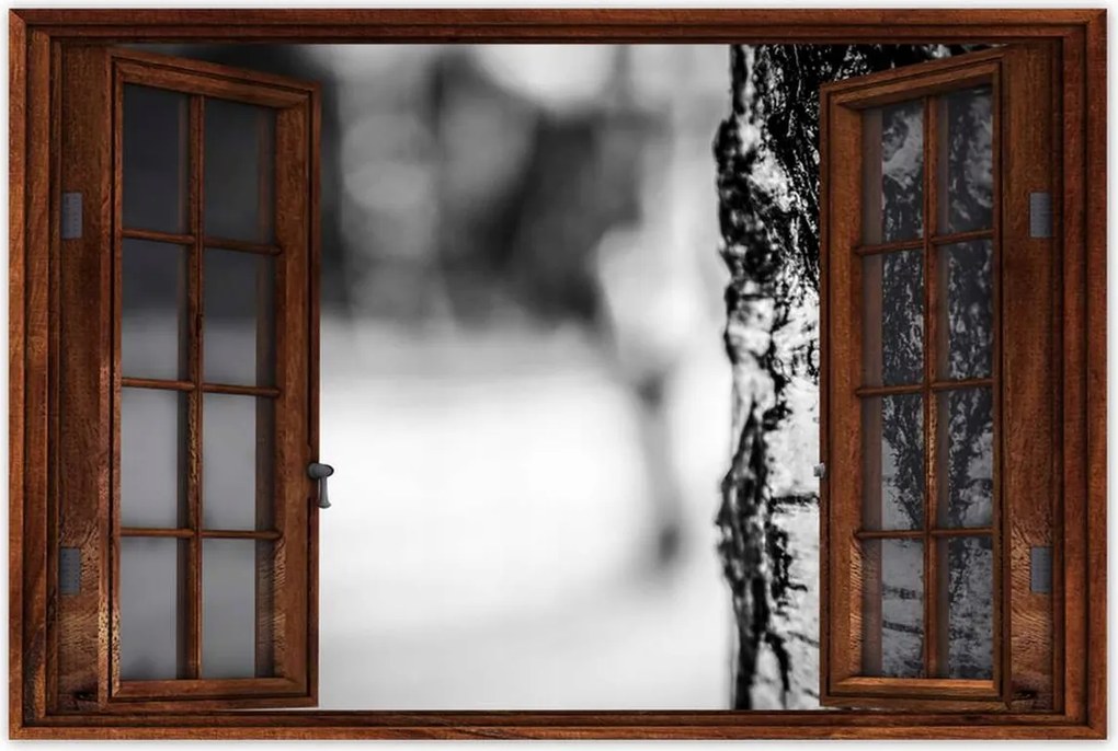 Poszterek 120x80 Nyírfa