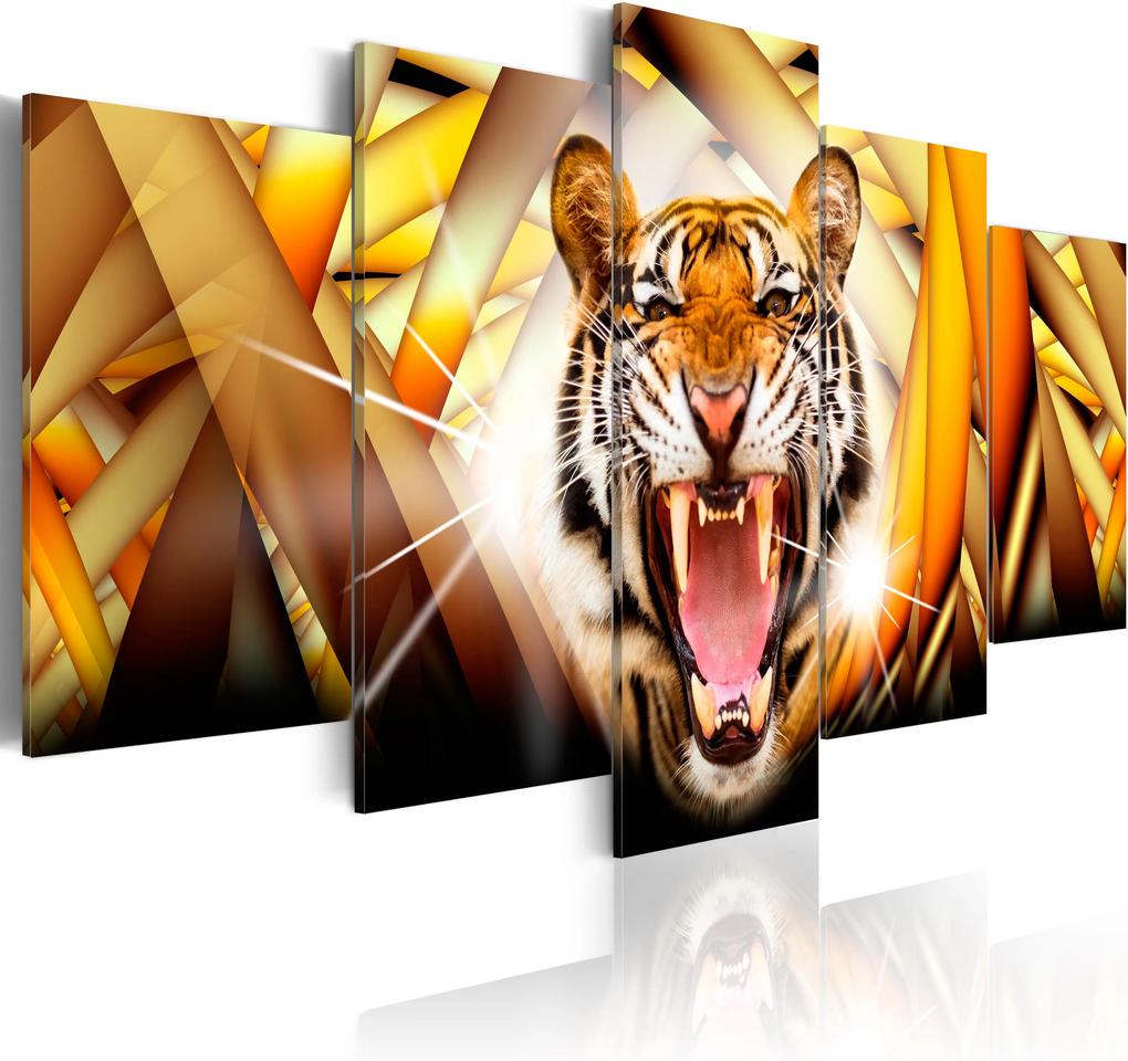 Kép - Energy of Tiger