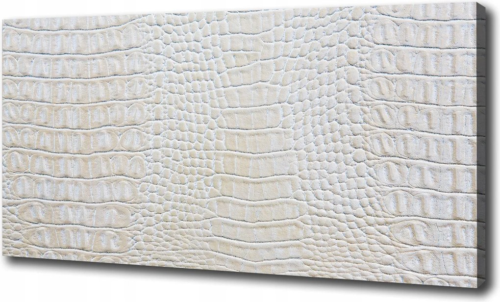 Vászonkép Krokodilbőr 100x70 cm